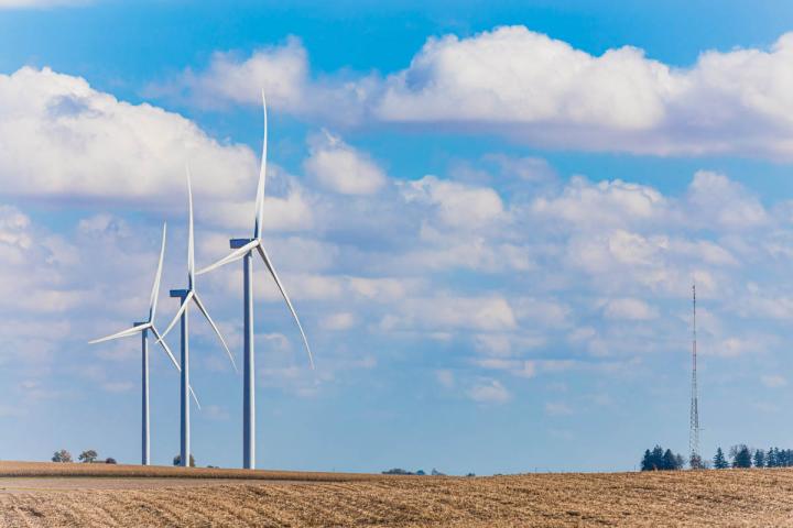wind farm