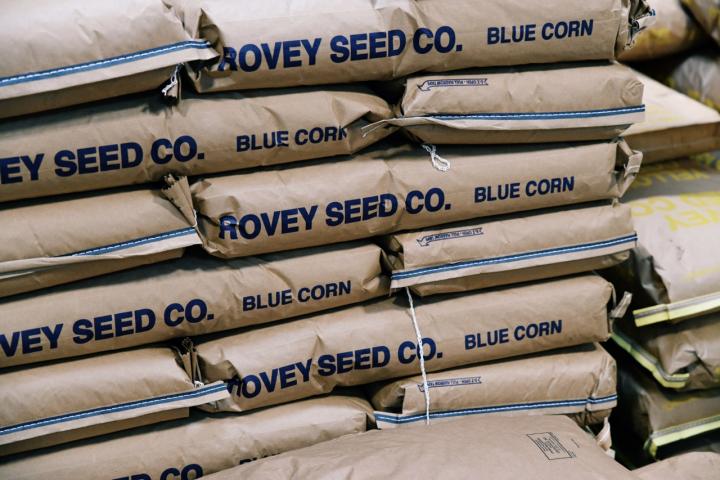 Blue corn bags at Yoli Tortilleria