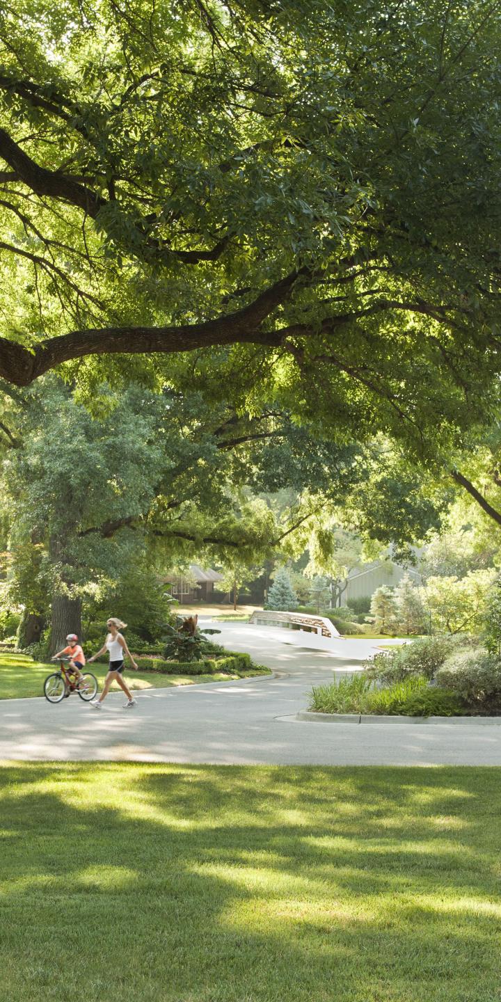 Neighborhood in Leawood, Kansas