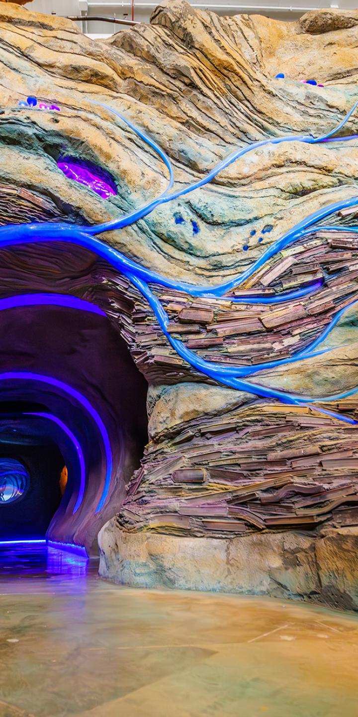 A whimsical "rabbit hole" opening with purple and pink lights to lead the way